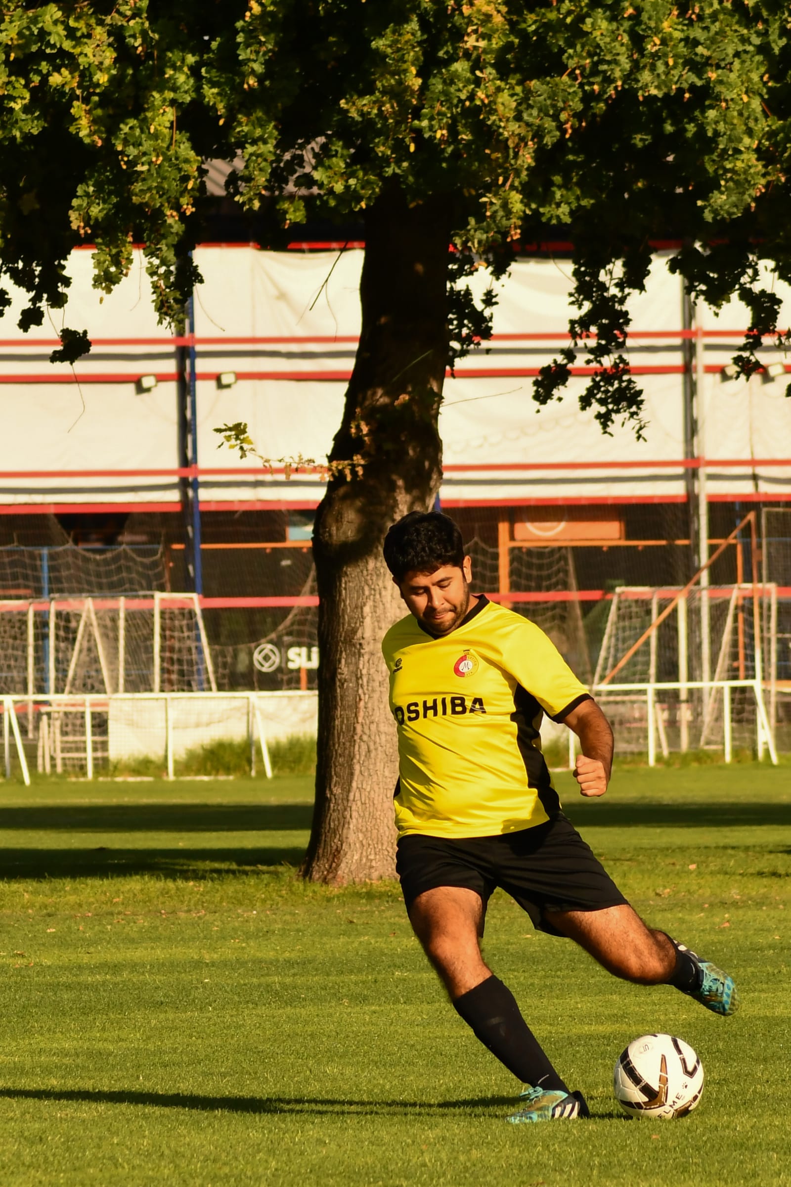 Junior